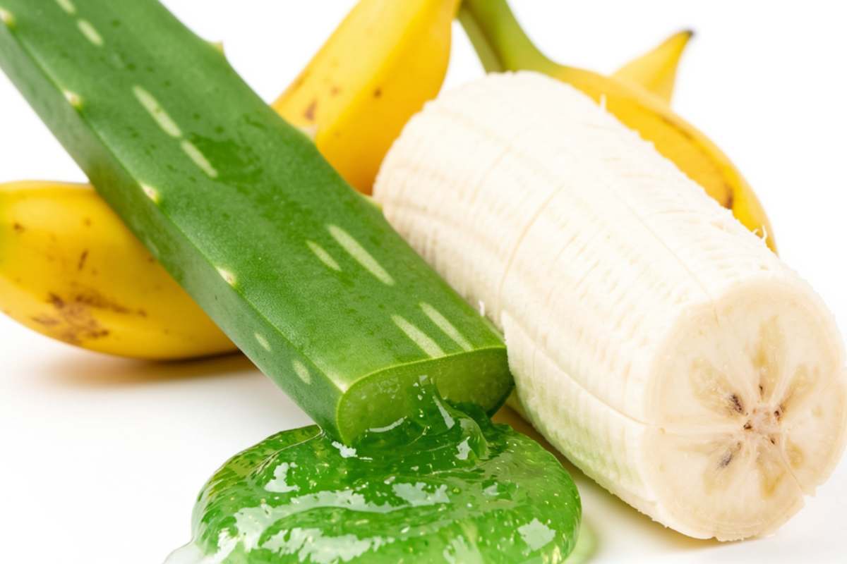 aloe gel banana